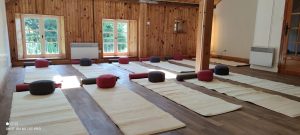 Kurse und Workshops des Yogazentrums Freiburg, geleitet von Pinar Cinar. Chakrenblüten, Hatha Yoga
